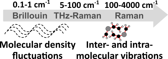 Brillouin, THz-Raman and Raman progression