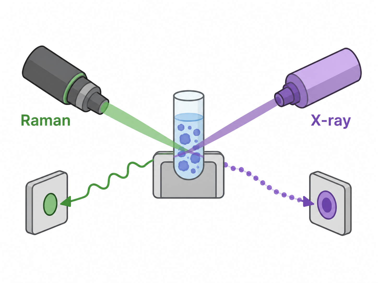 Simple cartoon diagram illustrating integrated low-frequency Raman and SAXS measurements