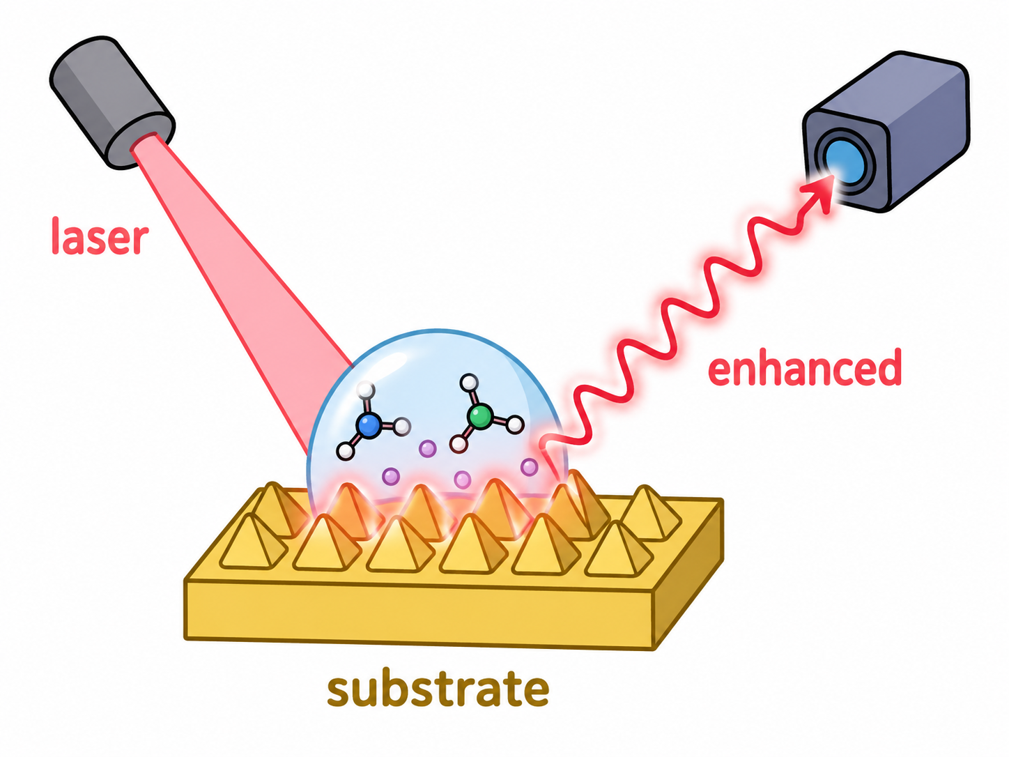 Simple cartoon diagram illustrating SERS and SELFRS